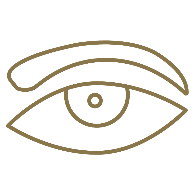 Alamar Icon Services Lash and Brow Tinting